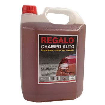 REGALO CHAMPO AUTO 10L